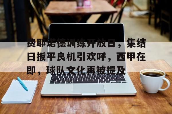 关于费耶诺德训练开放日，集结日扳平良机引欢呼，西甲在即，球队文化再被提及的信息